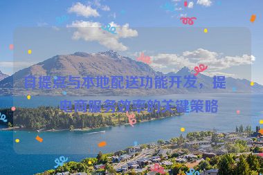 自提點與本地配送功能開發(fā)，提升電商服務(wù)效率的關(guān)鍵策略