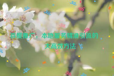 百度推廣，本地服務(wù)精準(zhǔn)引流的五大高效方法