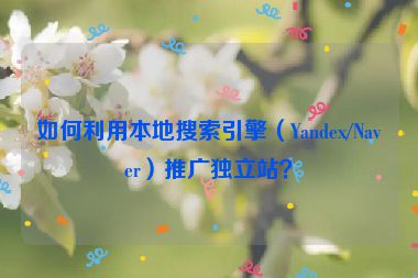 如何利用本地搜索引擎（Yandex/Naver）推廣獨立站？