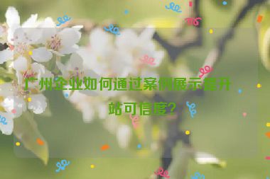 廣州企業(yè)如何通過(guò)案例展示提升網(wǎng)站可信度？