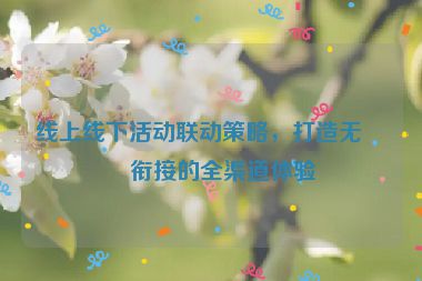 線(xiàn)上線(xiàn)下活動(dòng)聯(lián)動(dòng)策略，打造無(wú)縫銜接的全渠道體驗(yàn)