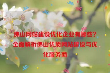 佛山網(wǎng)站建設(shè)優(yōu)化企業(yè)有哪些？全面解析佛山優(yōu)質(zhì)網(wǎng)站建設(shè)與優(yōu)化服務(wù)商