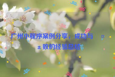 廣州小程序案例分享，成功與失敗的經(jīng)驗總結(jié)