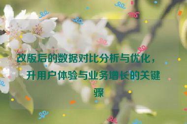 改版后的數(shù)據(jù)對(duì)比分析與優(yōu)化，提升用戶體驗(yàn)與業(yè)務(wù)增長(zhǎng)的關(guān)鍵步驟