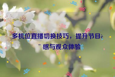 多機位直播切換技巧，提升節(jié)目質(zhì)感與觀眾體驗