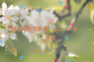 獨立站跨境稅務(wù)，VAT、GST等全解析