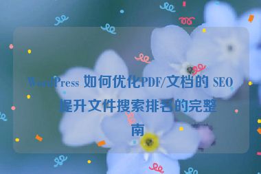 WordPress 如何優(yōu)化PDF/文檔的 SEO？提升文件搜索排名的完整指南