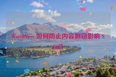 WordPress 如何防止內(nèi)容剽竊影響 SEO？