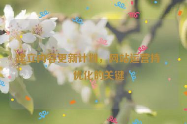 建立內(nèi)容更新計(jì)劃，網(wǎng)站運(yùn)營持續(xù)優(yōu)化的關(guān)鍵