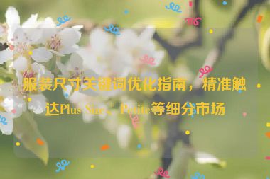 服裝尺寸關(guān)鍵詞優(yōu)化指南，精準(zhǔn)觸達(dá)Plus Size、Petite等細(xì)分市場