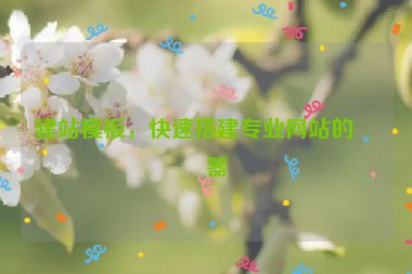 建站模板，快速搭建專業(yè)網(wǎng)站的利器