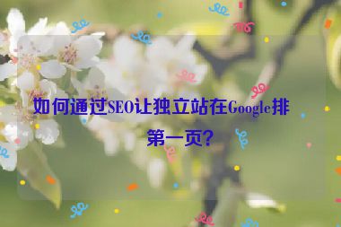 如何通過SEO讓獨立站在Google排名第一頁？