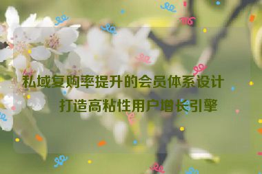 私域復購率提升的會員體系設計，打造高粘性用戶增長引擎