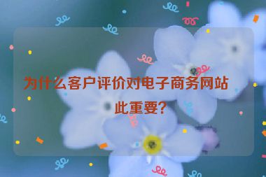 為什么客戶評價對電子商務網(wǎng)站如此重要？