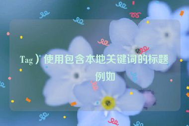 Tag）使用包含本地關(guān)鍵詞的標(biāo)題，例如