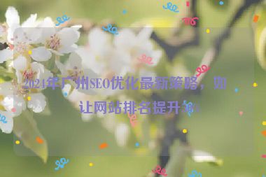 2024年廣州SEO優(yōu)化最新策略，如何讓網(wǎng)站排名提升50%