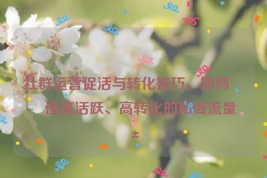 社群運(yùn)營促活與轉(zhuǎn)化技巧，如何打造高活躍、高轉(zhuǎn)化的私域流量池