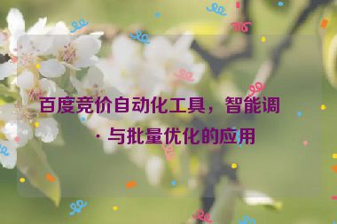 百度競價自動化工具，智能調(diào)價與批量優(yōu)化的應(yīng)用