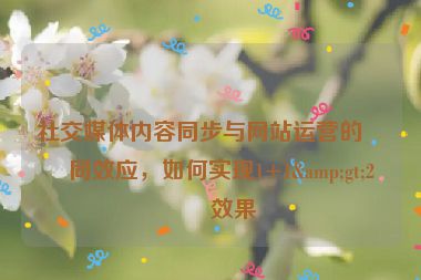 社交媒體內(nèi)容同步與網(wǎng)站運(yùn)營(yíng)的協(xié)同效應(yīng)，如何實(shí)現(xiàn)1+1&gt;2的效果