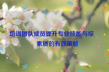 培訓(xùn)團(tuán)隊成員提升專業(yè)技能與綜合素質(zhì)的有效策略