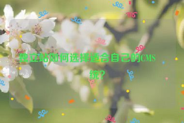 獨(dú)立站如何選擇適合自己的CMS系統(tǒng)？