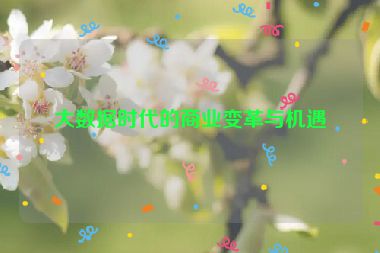大數(shù)據(jù)時代的商業(yè)變革與機(jī)遇