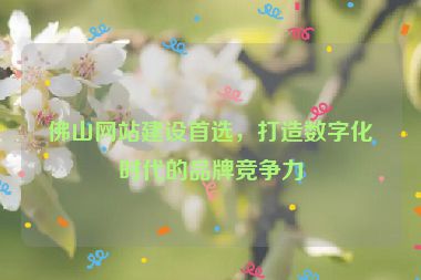 佛山網(wǎng)站建設(shè)首選，打造數(shù)字化時(shí)代的品牌競(jìng)爭(zhēng)力