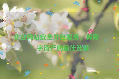 企業(yè)網(wǎng)站安全外包服務(wù)，保障數(shù)字資產(chǎn)的最佳選擇