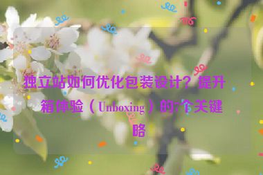 獨(dú)立站如何優(yōu)化包裝設(shè)計(jì)？提升拆箱體驗(yàn)（Unboxing）的7個關(guān)鍵策略