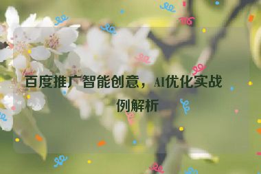 百度推廣智能創(chuàng)意，AI優(yōu)化實(shí)戰(zhàn)案例解析