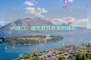 API接口，現(xiàn)代軟件開發(fā)的核心橋梁
