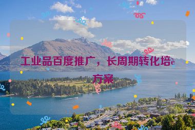 工業(yè)品百度推廣，長(zhǎng)周期轉(zhuǎn)化培育方案