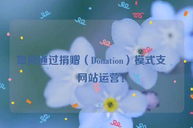 如何通過捐贈(zèng)（Donation）模式支持網(wǎng)站運(yùn)營？