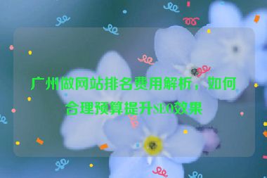 廣州做網(wǎng)站排名費用解析，如何合理預(yù)算提升SEO效果