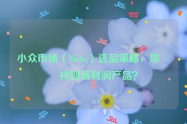 小眾市場（Niche）選品策略，如何找到高利潤產品？
