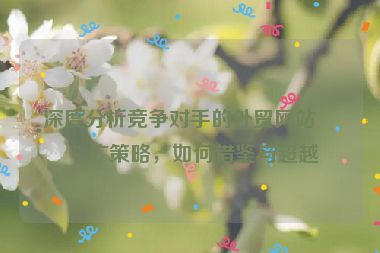 深度分析競(jìng)爭(zhēng)對(duì)手的外貿(mào)網(wǎng)站推廣策略，如何借鑒與超越