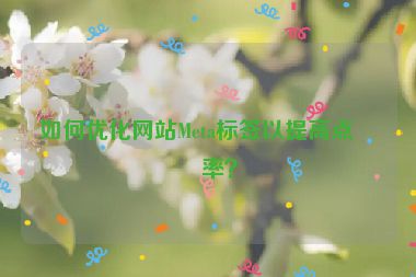 如何優(yōu)化網(wǎng)站Meta標(biāo)簽以提高點(diǎn)擊率？