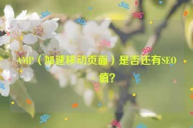 AMP（加速移動(dòng)頁(yè)面）是否還有SEO價(jià)值？