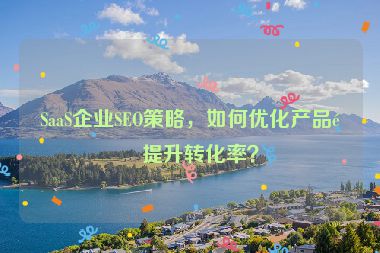 SaaS企業(yè)SEO策略，如何優(yōu)化產(chǎn)品頁(yè)提升轉(zhuǎn)化率？