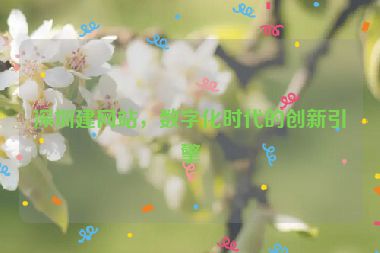 深圳建網(wǎng)站，數(shù)字化時(shí)代的創(chuàng)新引擎