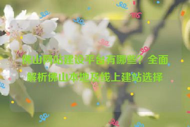 佛山網(wǎng)站建設(shè)平臺(tái)有哪些？全面解析佛山本地及線上建站選擇