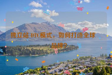 獨(dú)立站 DTC模式，如何打造全球化品牌？