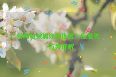 廣州網(wǎng)站被黑如何恢復？應急處理方案詳解