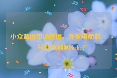 小眾藍(lán)海市場挖掘，外貿(mào)電商如何找到高利潤Niche？