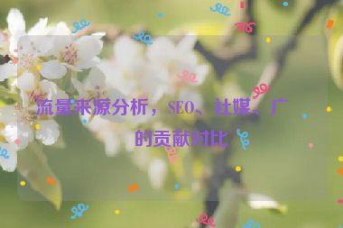 流量來(lái)源分析，SEO、社媒、廣告的貢獻(xiàn)對(duì)比