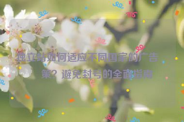 獨(dú)立站如何適應(yīng)不同國(guó)家的廣告政策？避免封號(hào)的全面指南