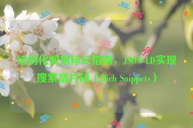 結(jié)構(gòu)化數(shù)據(jù)標(biāo)記指南，JSON-LD實(shí)現(xiàn)搜索富片段（Rich Snippets）