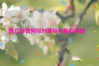 獨立站如何應(yīng)對商標與版權(quán)問題？