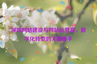 深圳網(wǎng)站建設(shè)與網(wǎng)站運(yùn)營(yíng)商，數(shù)字化轉(zhuǎn)型的關(guān)鍵推手