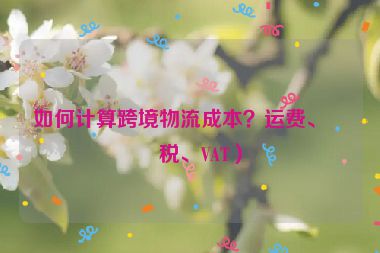 如何計(jì)算跨境物流成本？運(yùn)費(fèi)、關(guān)稅、VAT）